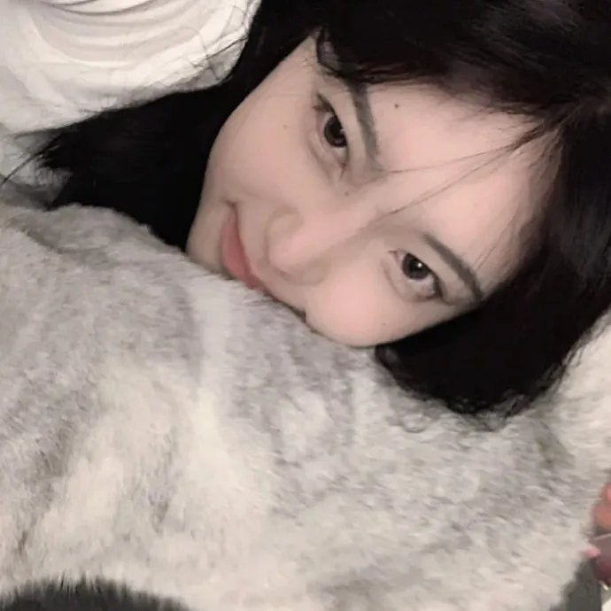 手机风云